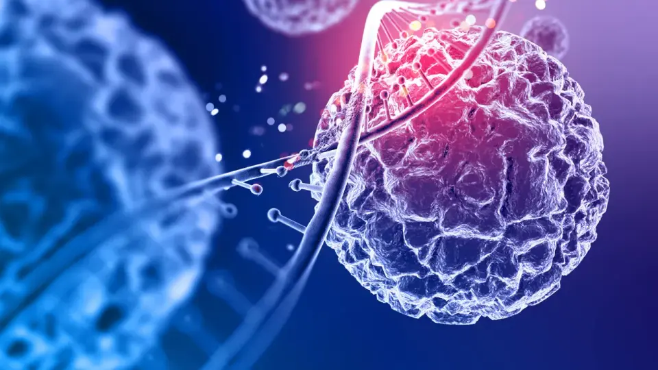 Иллюстрация фермента