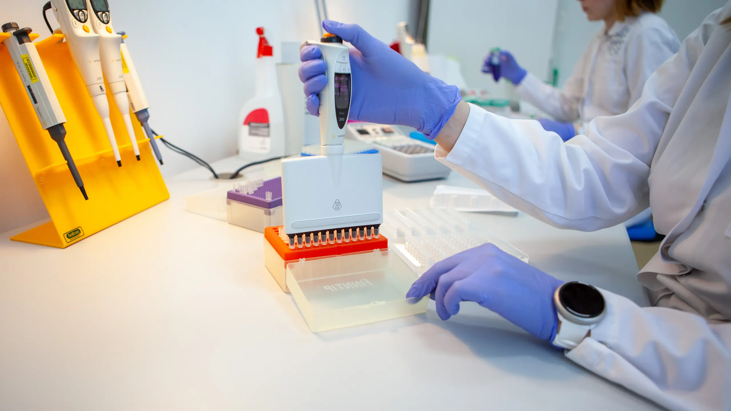 Лаборатория, где проводится ПЦР тестирование